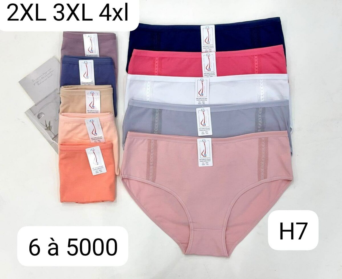 Culottes Taille Plus Confort