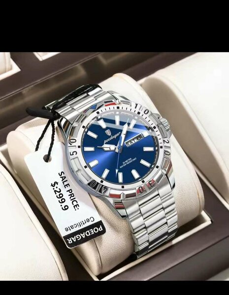 Montre Homme Étanche POEDAGAR