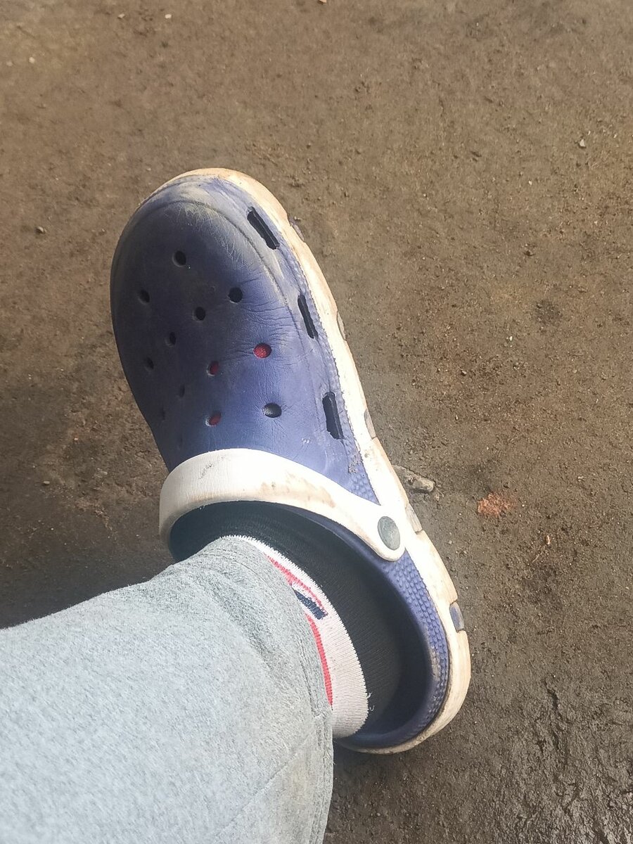 Crocs