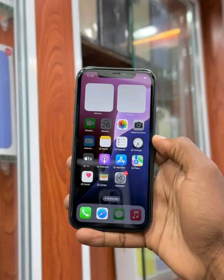 iPhone avec boîtier 64Go