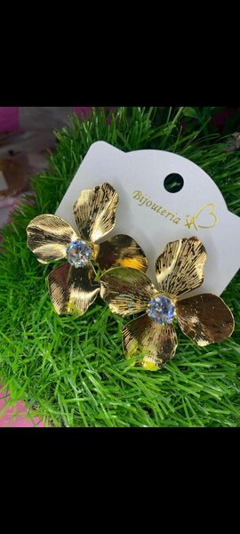 Ladies earrings