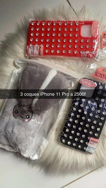 Coque de téléphone