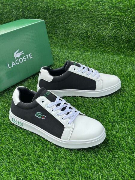Sneakers Lacoste homme élégants