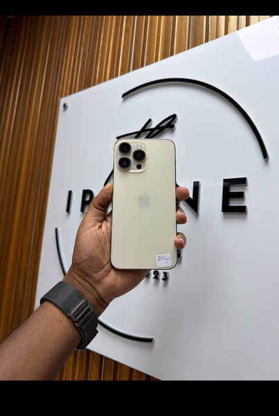 iPhone 14 Pro Max 256GB
