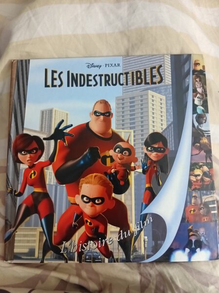 Livre Les Indestructibles