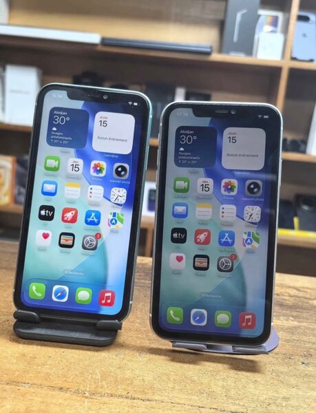 iPhone 11 Bicolore