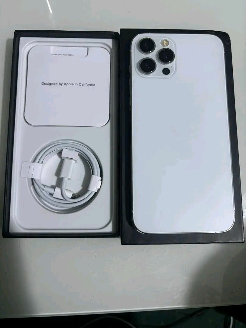 iPhone 13 Pro Max Blanc