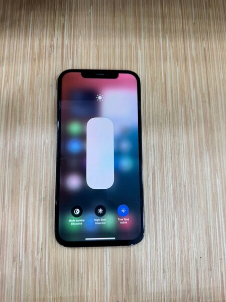 iPhone 12 Pro Max 128 Go Bleu