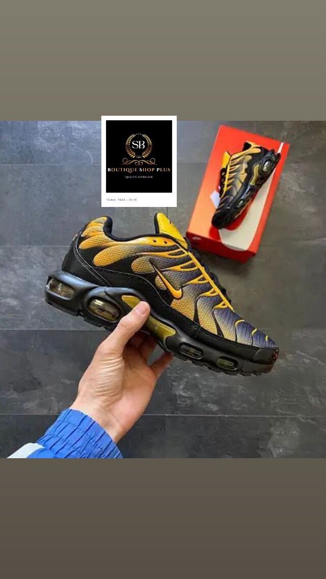 Basket NIKE TN authentique dans carton 40-45