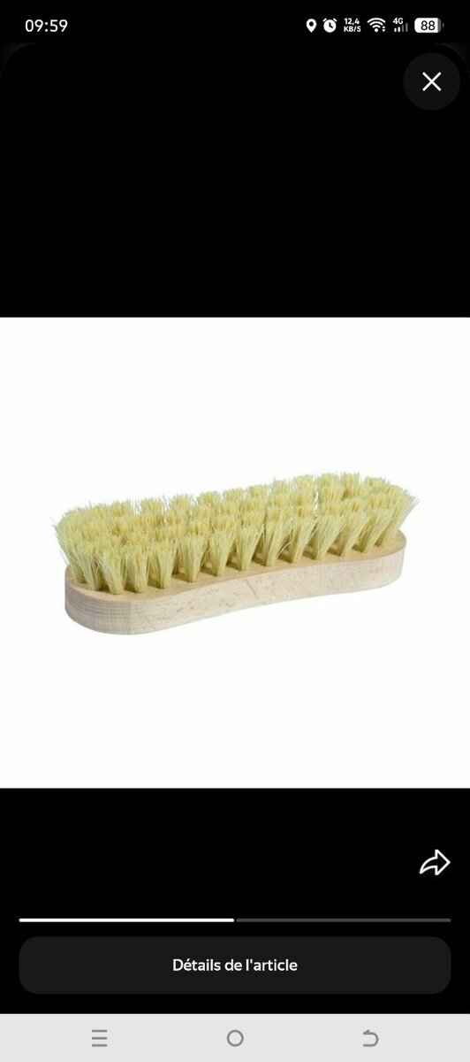 Brosse de nettoyage robuste