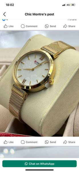 Chic montre de femmes