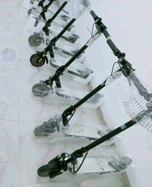 Détecteur de métaux professionnel