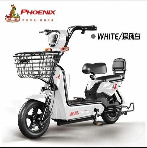 E-BIKE électrique 70km