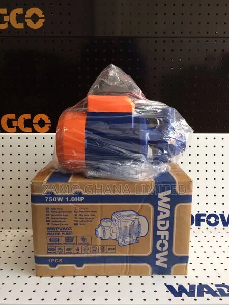 Pompe à eau 750W robuste