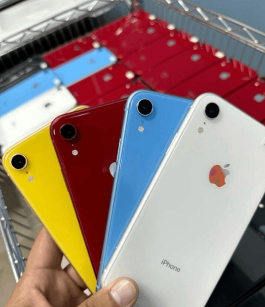 iPhone XR Multicolore