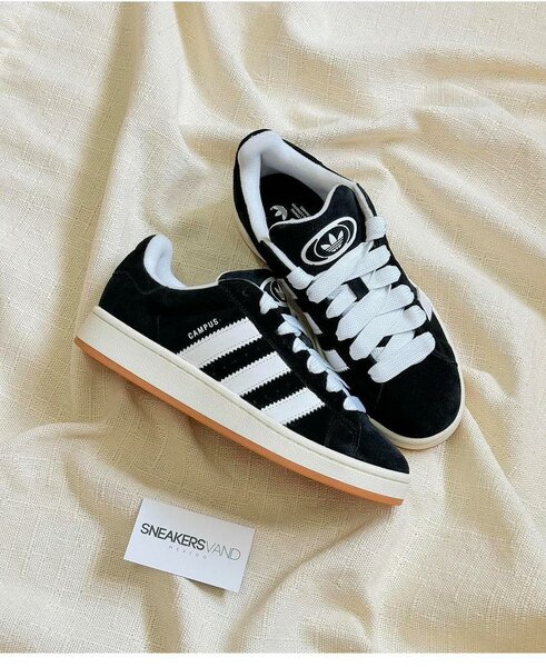 Sneakers Campus Classiques