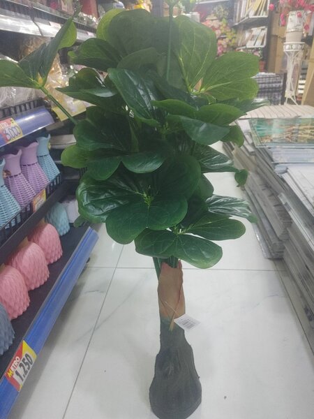 Plante d'intérieur artificielle réaliste