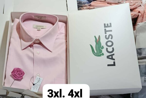 Chemise habillée grande taille