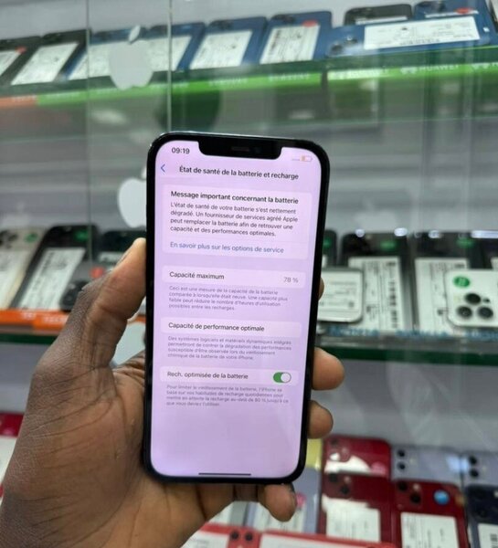 iPhone 12 Pro 256GB Bleu