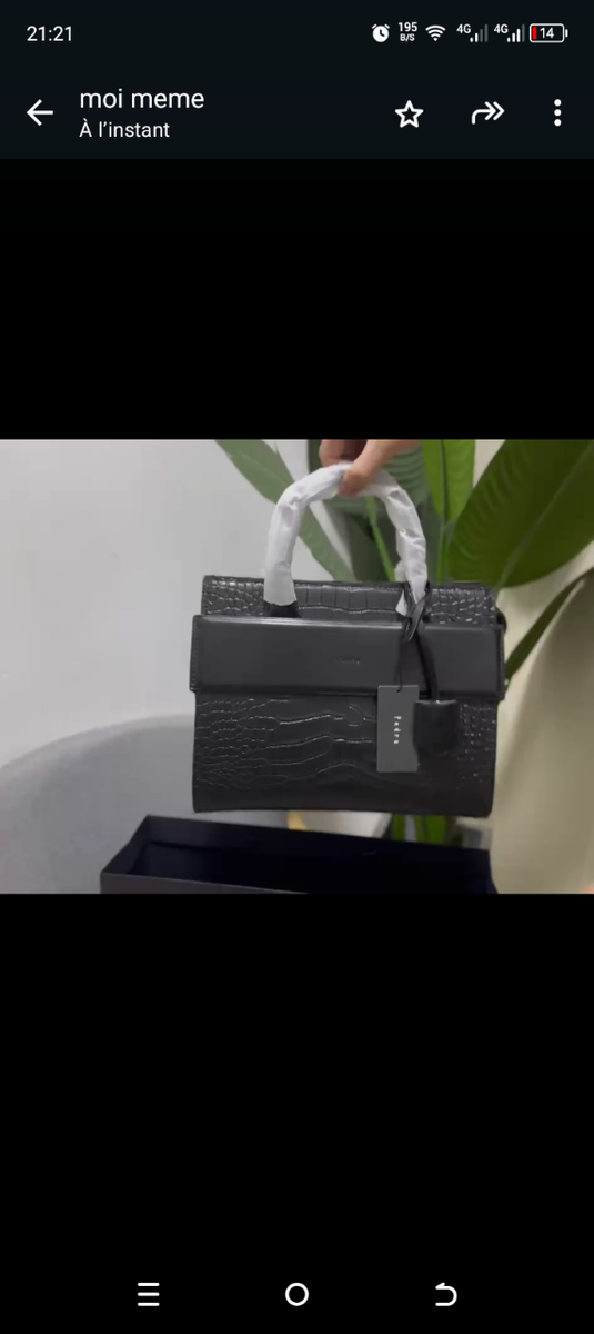 Sac à main élégant Pedro