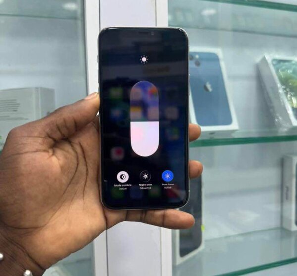 iPhone 12 Pro Max Argent