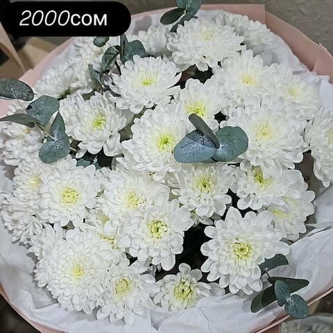 букет хризантемы