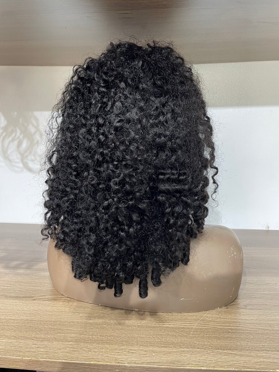 Curly Lace Front Wig
