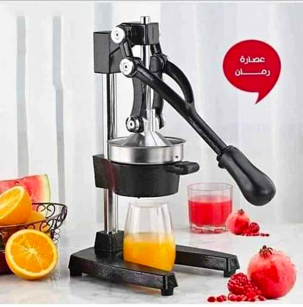 Presse Agrumes Grand Format Professionnelle