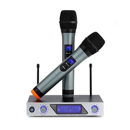 Système Micro Sans Fil Professionnel