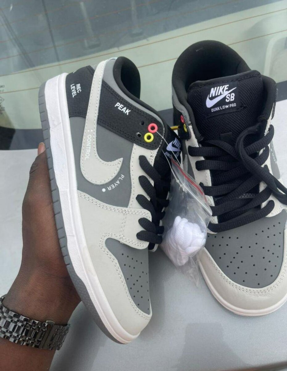 Baskets Nike SB Dunk Low Pro