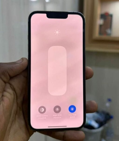Smartphone iPhone 13 Pro Max