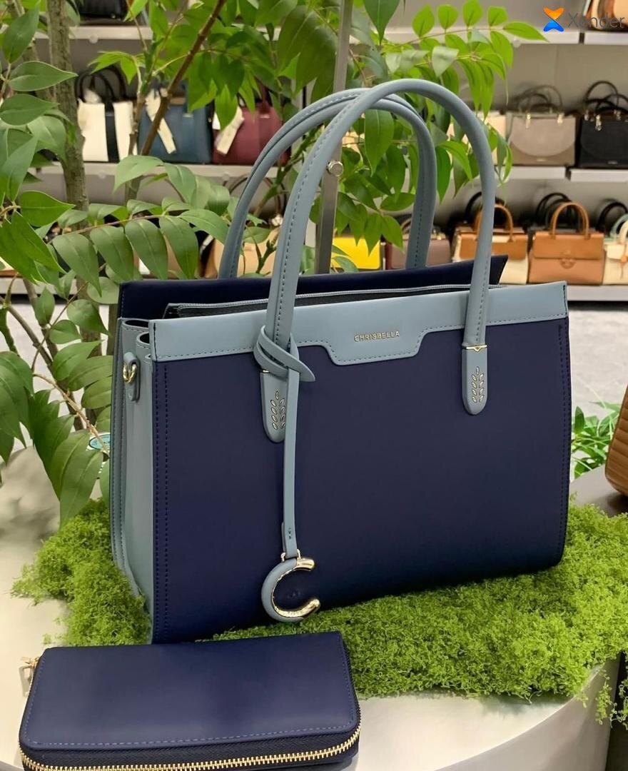 Sac à main en cuir élégant