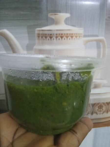 Marinade Verte Maison