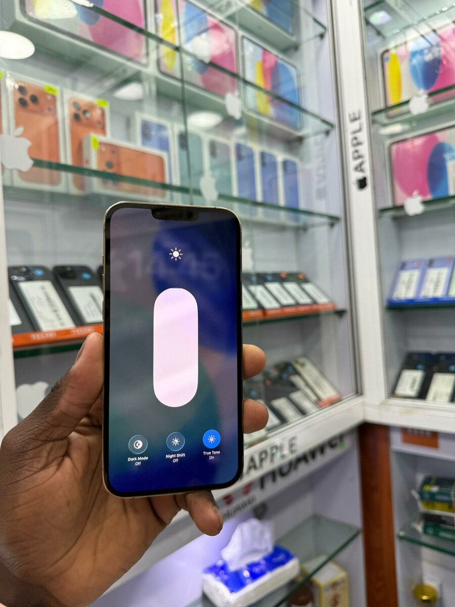 13 pro max 128 Go tout dorigi