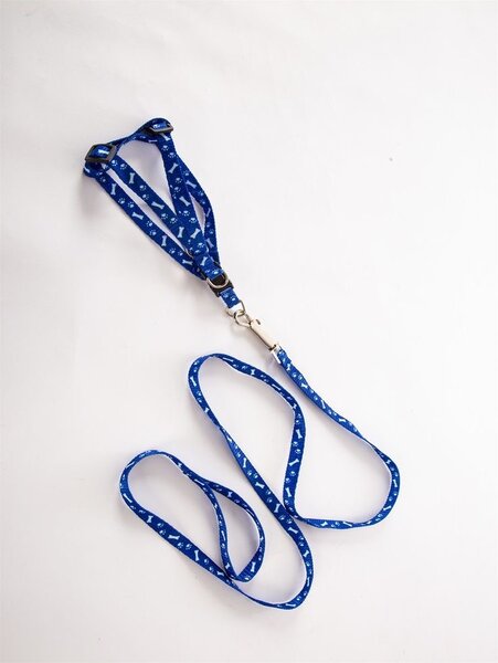 Harnais et laisse pour animal