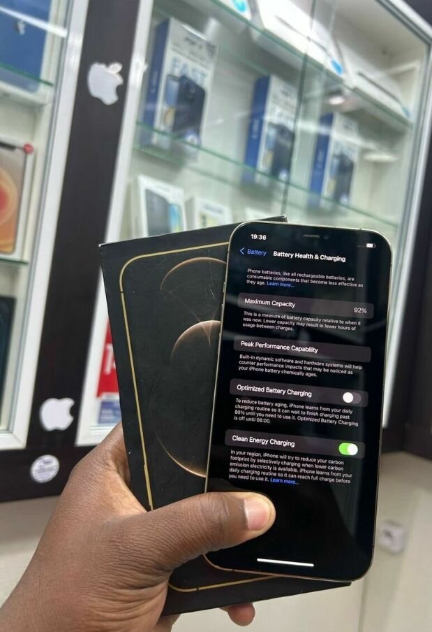 iPhone 12 Pro Max 256GB