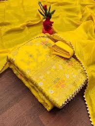 Ladies cloth