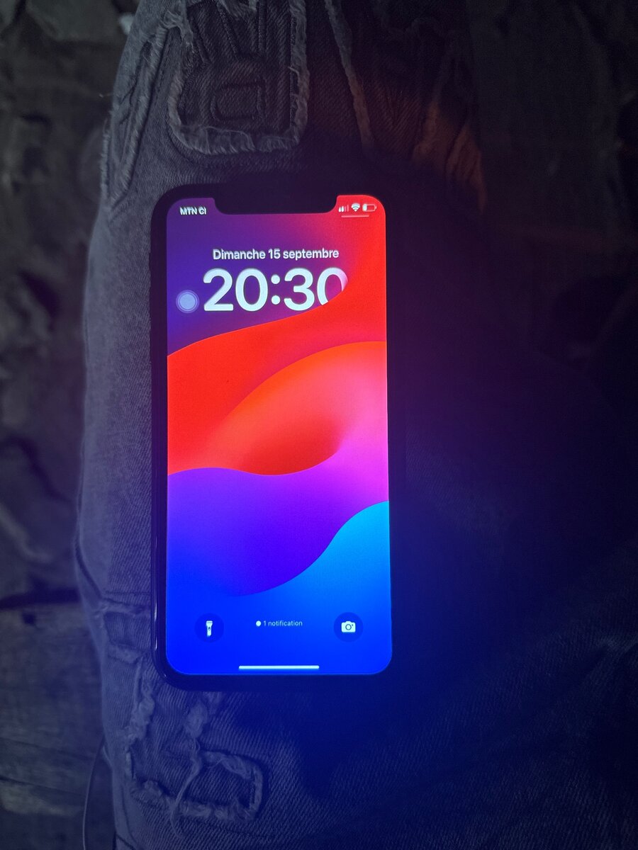 iPhone XR