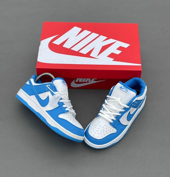 Nike Dunk Low Bleu Blanc
