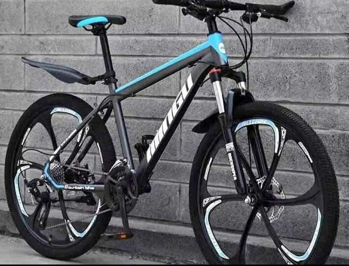 Vélo électrique tout-terrain