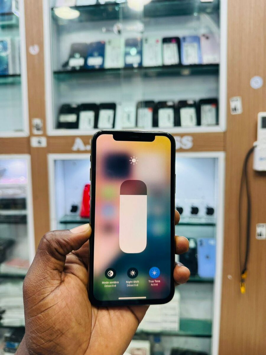 iPhone 11 Pro Max 512 Go