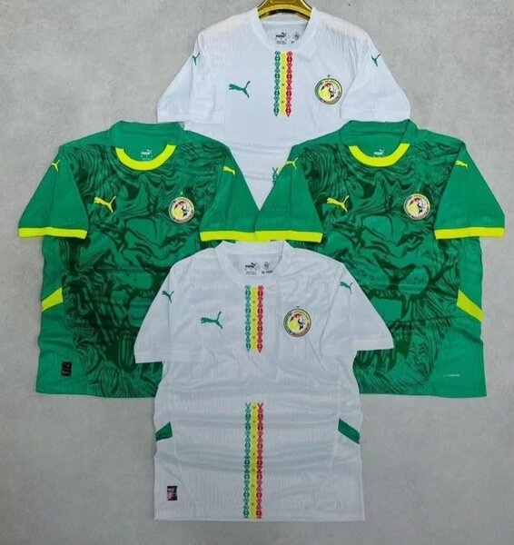 Maillots de football Sénégal Puma