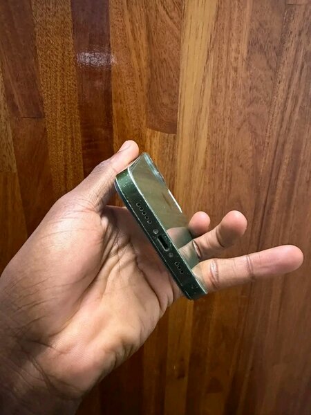 iPhone 13 Pro Max Vert