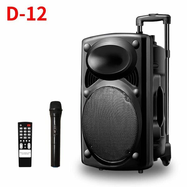 Haut-parleur portable D-12