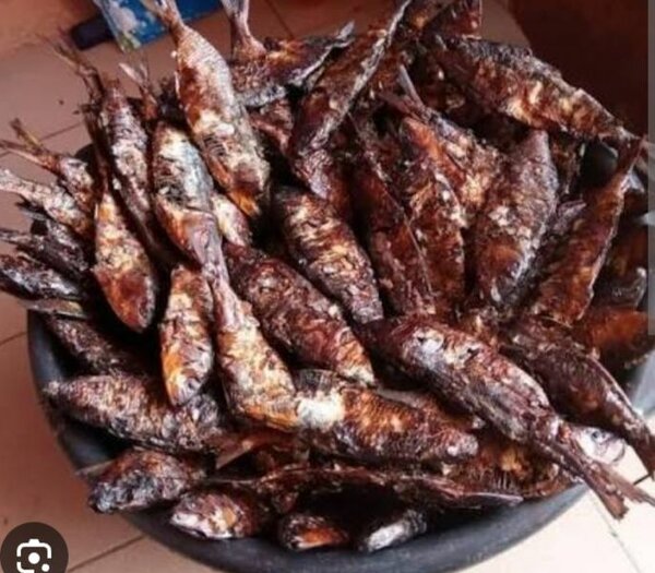 Poisson magne fumé délicieux