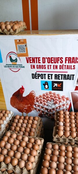 les oeufs  de ma fem