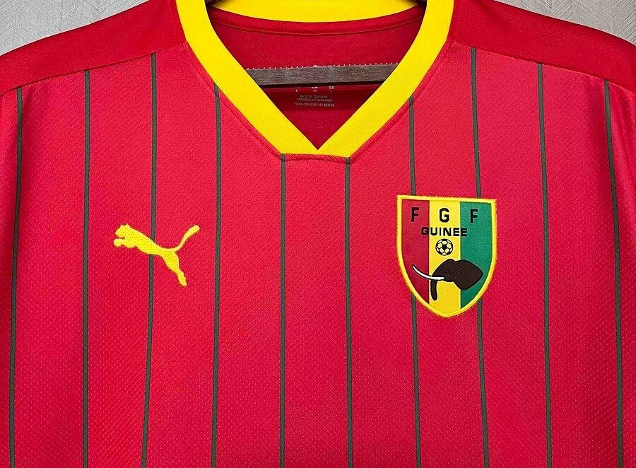 Maillot Guinée new pro max