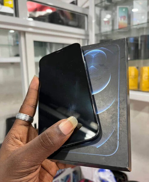 iPhone 12 Pro Max 256GB Bleu