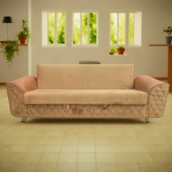 Designer Sofa Cum Beds