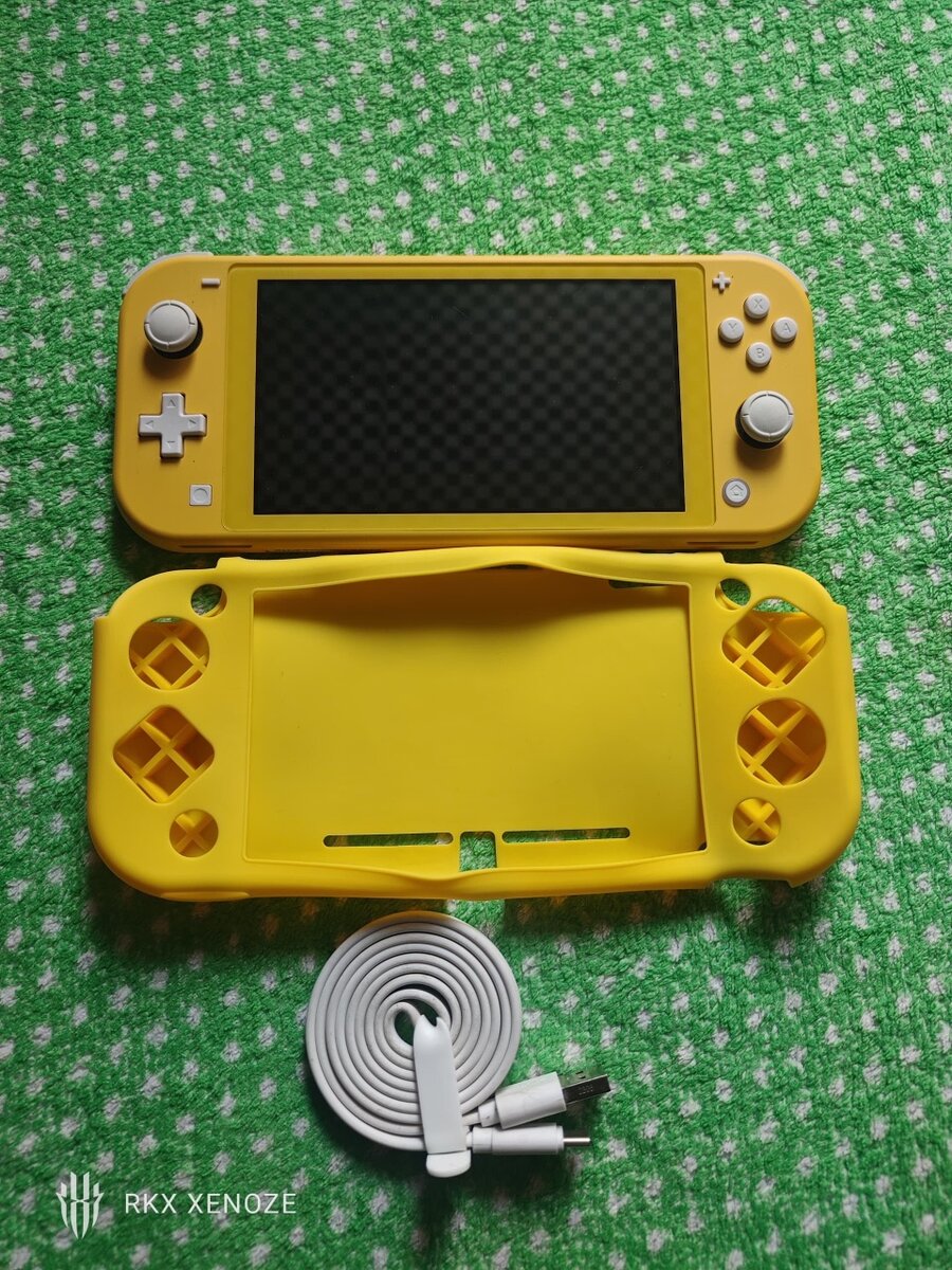 Nintendo switch lite cracké